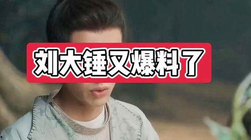 刘大锤最新爆料中午,中午惊人内幕大揭秘!